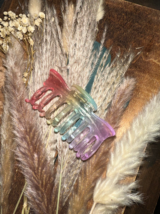 Claw Clip