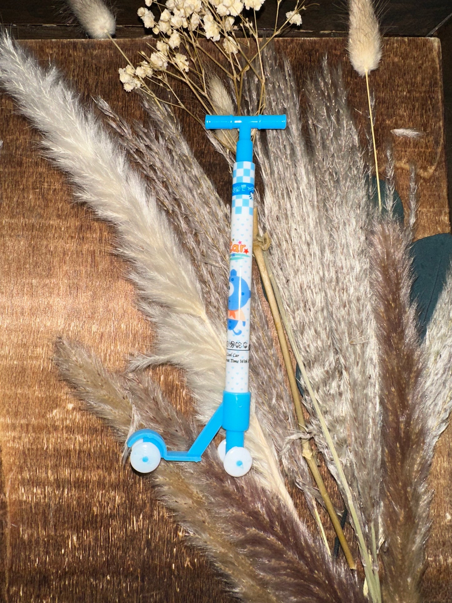 Scooter Pen