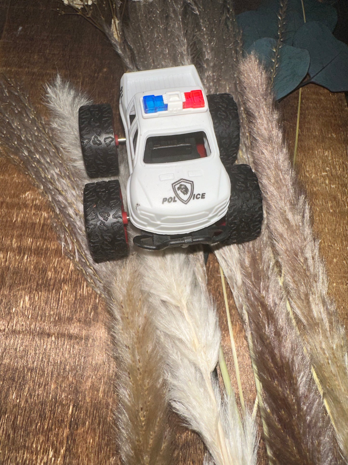Stunt Car